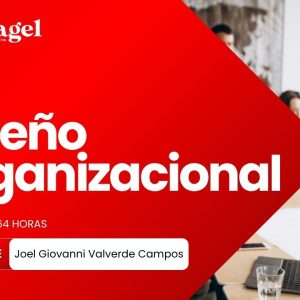 Diseño Organizacional
