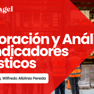 Elaboración y Análisis de Indicadores Logísticos