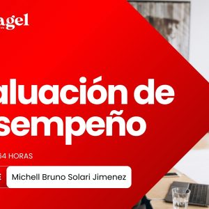 Evaluación del Desempeño