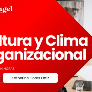 Cultura y Clima Organizacional