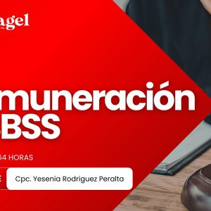 Remuneración y BBSS