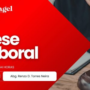 Cese Laboral